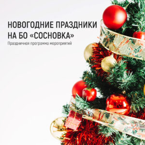 Новогодние праздники на базе отдыха «Сосновка»