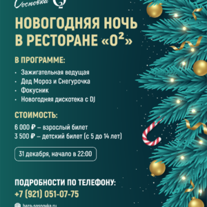 Новогодняя ночь 2026